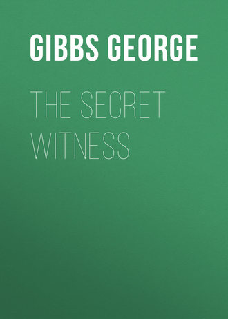 Обложка книги «The Secret Witness»