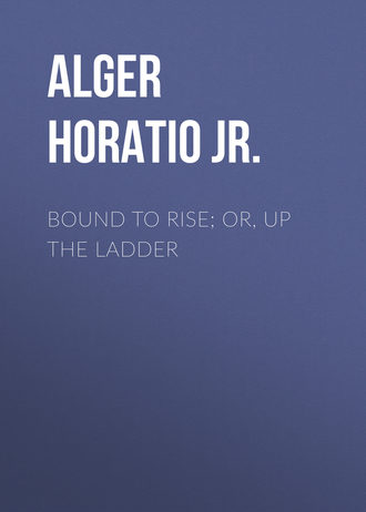 Обложка книги «Bound to Rise; Or, Up the Ladder»