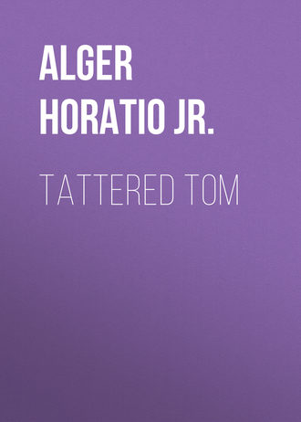 Обложка книги «Tattered Tom»