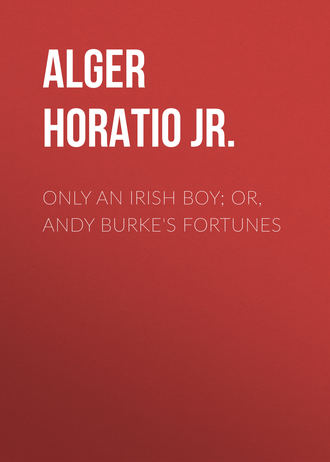 Обложка книги «Only an Irish Boy; Or, Andy Burke's Fortunes»