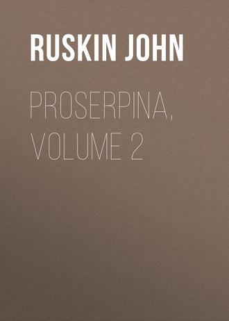 Ruskin John. Proserpina, Volume 2