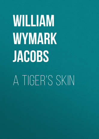 Обложка книги «A Tiger's Skin»
