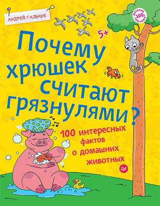 Андрей Гальчук. Почему хрюшек считают грязнулями? 100 интересных фактов о домашних животных