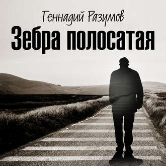 Обложка книги «Зебра полосатая. Том 1. На переломах судьбы»