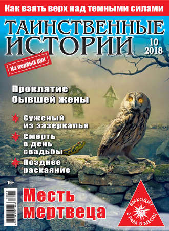 Обложка книги «Таинственные истории №10/2018»
