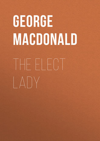 Обложка книги «The Elect Lady»