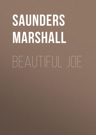 Обложка книги «Beautiful Joe»