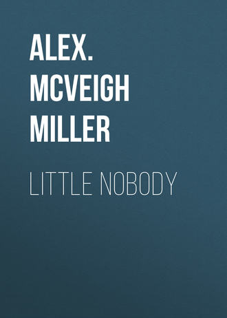 Обложка книги «Little Nobody»