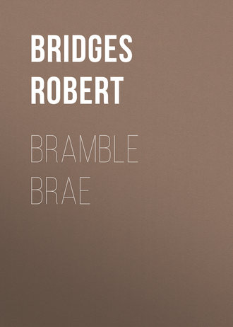 Обложка книги «Bramble Brae»