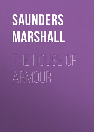Обложка книги «The House of Armour»