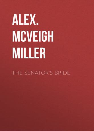 Обложка книги «The Senator's Bride»