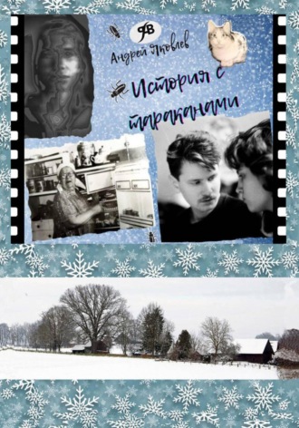 Андрей Владимирович Яковлев. История с тараканами