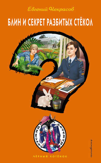 . Блин и секрет разбитых стекол