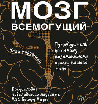 Обложка книги «Мозг всемогущий. Путеводитель по самому незаменимому органу нашего тела»