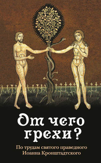Обложка книги «От чего грехи? По трудам святого праведного Иоанна Кронштадтского»