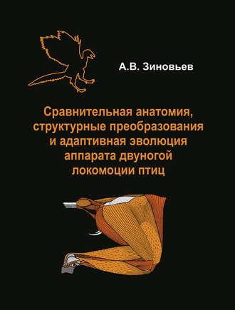 Обложка книги «Сравнительная анатомия, структурные преобразования и адаптивная эволюция аппарата двуногой локомоции птиц»