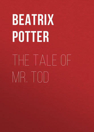 Обложка книги «The Tale of Mr. Tod»