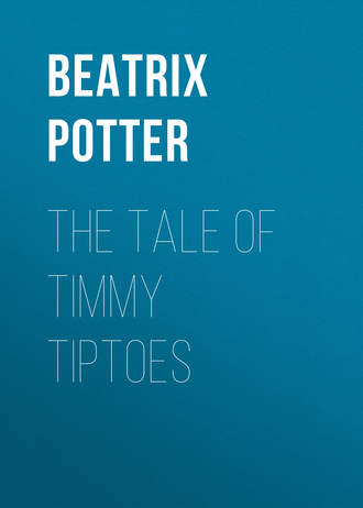 Обложка книги «The Tale of Timmy Tiptoes»
