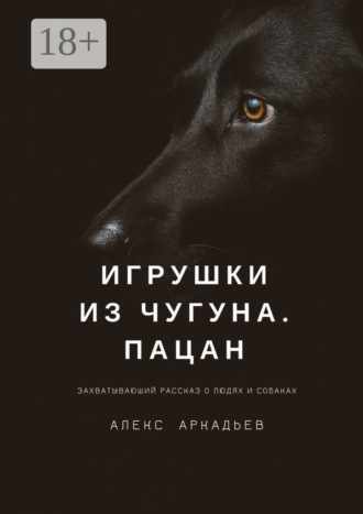 Обложка книги «Игрушки из чугуна. Пацан. Захватывающий рассказ о людях и собаках»