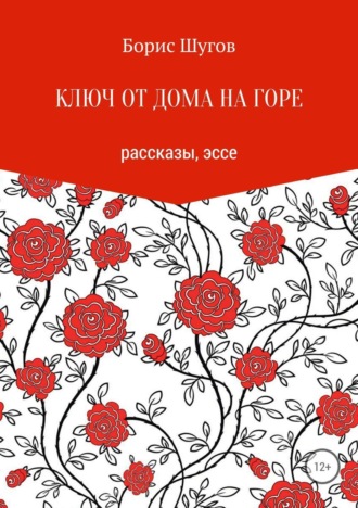 Обложка книги «Ключ от дома на горе»