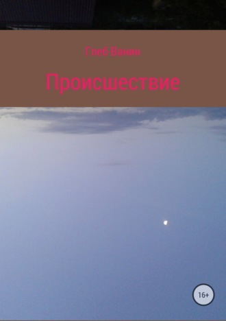 Обложка книги «Происшествие»