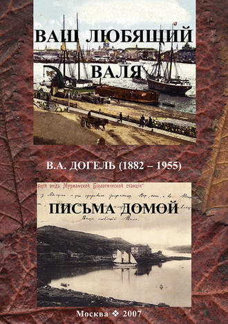 Обложка книги «Ваш любящий Валя. В. А. Догель (1882–1955). Письма домой»
