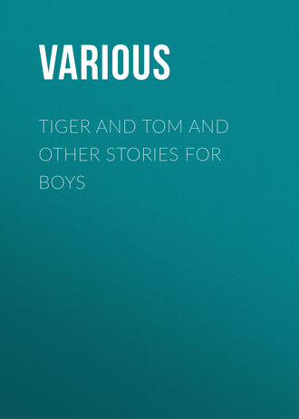 Обложка книги «Tiger and Tom and Other Stories for Boys»
