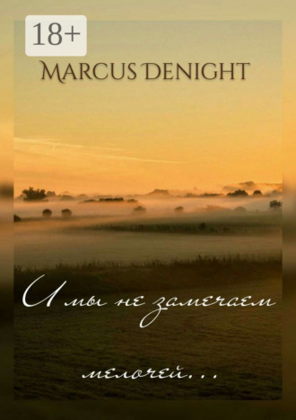 Обложка книги «И мы не замечаем мелочей…»