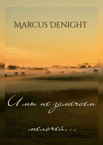 Marcus Denight. И мы не замечаем мелочей…