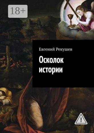 Обложка книги «Осколок истории»