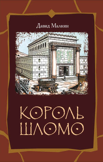 Обложка книги «Король Шломо»