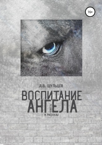 Обложка книги «Воспитание ангела. Сборник повести и рассказов»