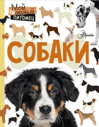 Обложка книги «Собаки»
