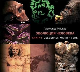 Обложка книги «Обезьяны, кости и гены»