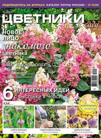 Обложка книги «Цветники в саду №10/2019»