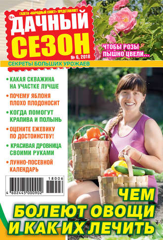 Обложка книги «Дачный сезон №06/2018»