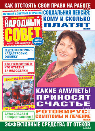 Обложка книги «Народный совет №26/2018»