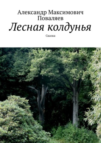 Обложка книги «Лесная колдунья. Сказка»