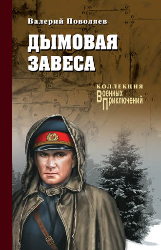 Обложка книги «Дымовая завеса (сборник)»