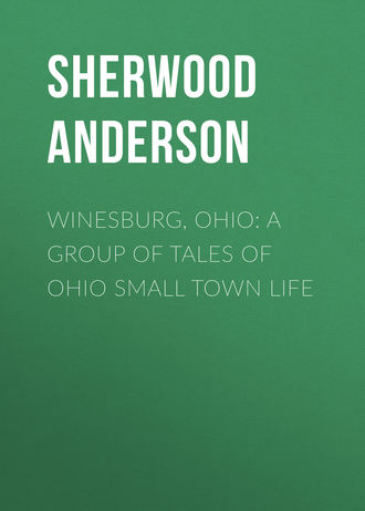 Обложка книги «Winesburg, Ohio: A Group of Tales of Ohio Small Town Life»