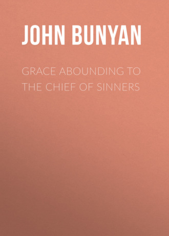 Обложка книги «Grace Abounding to the Chief of Sinners»