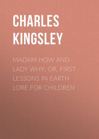 Обложка книги «Madam How and Lady Why; Or, First Lessons in Earth Lore for Children»