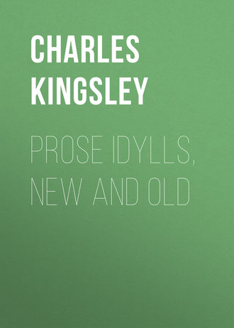 Обложка книги «Prose Idylls, New and Old»