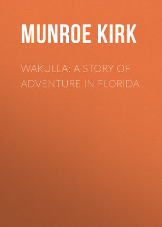 Обложка книги «Wakulla: a story of adventure in Florida»