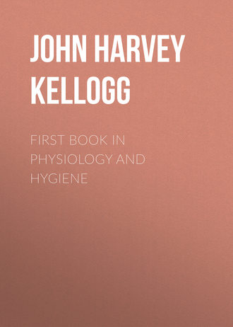 Обложка книги «First Book in Physiology and Hygiene»