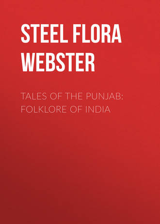 Обложка книги «Tales of the Punjab: Folklore of India»