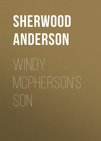 Обложка книги «Windy McPherson's Son»