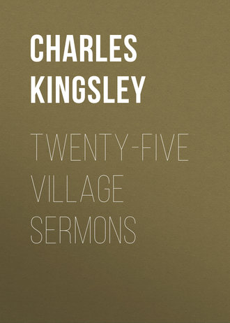 Обложка книги «Twenty-Five Village Sermons»