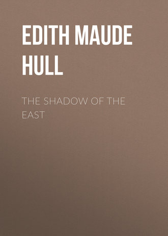 Обложка книги «The Shadow of the East»