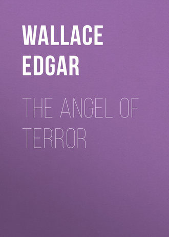 Обложка книги «The Angel of Terror»